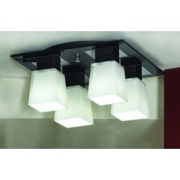 Потолочная люстра Lussole Lente LSC-2507-04